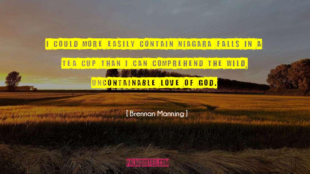 Niagara quotes by Brennan Manning