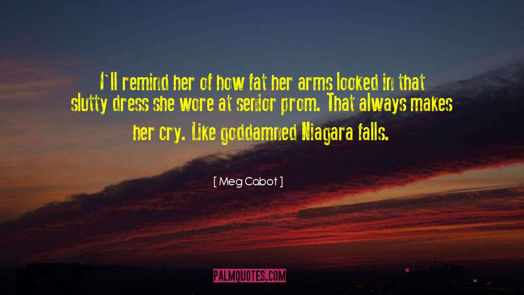 Niagara quotes by Meg Cabot