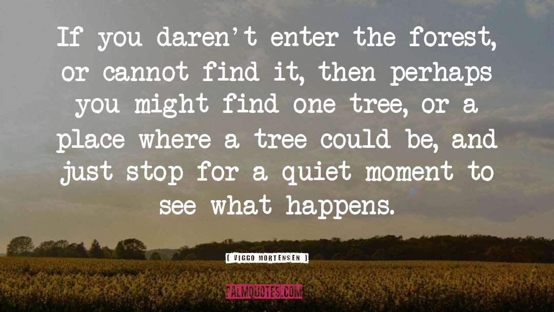 Nice And Quiet quotes by Viggo Mortensen