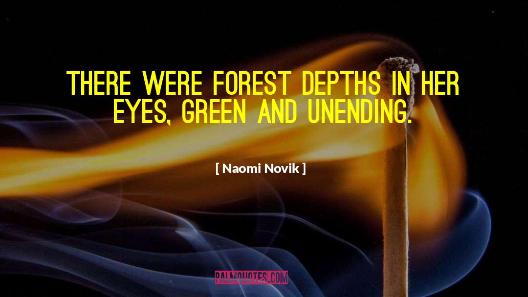 Nice Eyes quotes by Naomi Novik