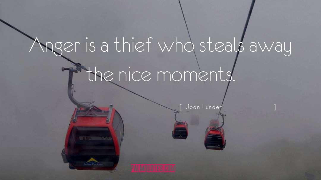 Nice Moments quotes by Joan Lunden