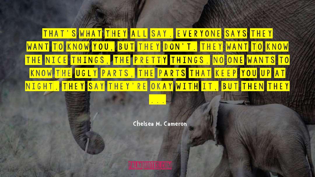 Nice Things quotes by Chelsea M. Cameron