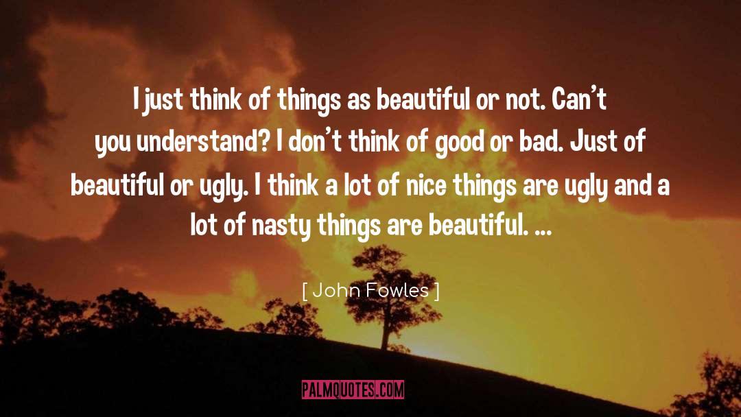 Nice Things quotes by John Fowles