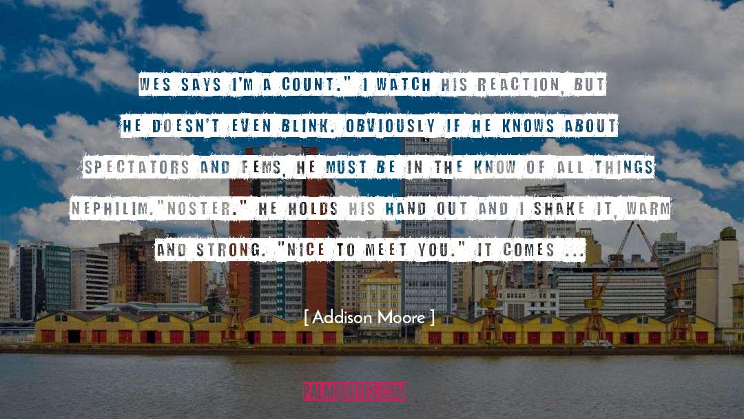 Nice To Meet You quotes by Addison Moore