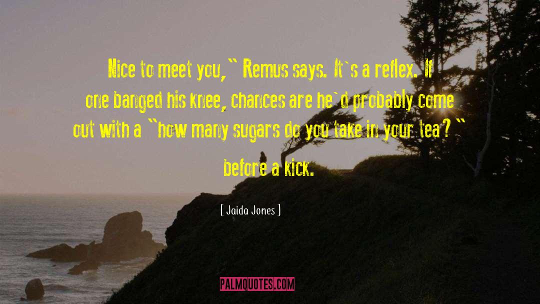 Nice To Meet You quotes by Jaida Jones