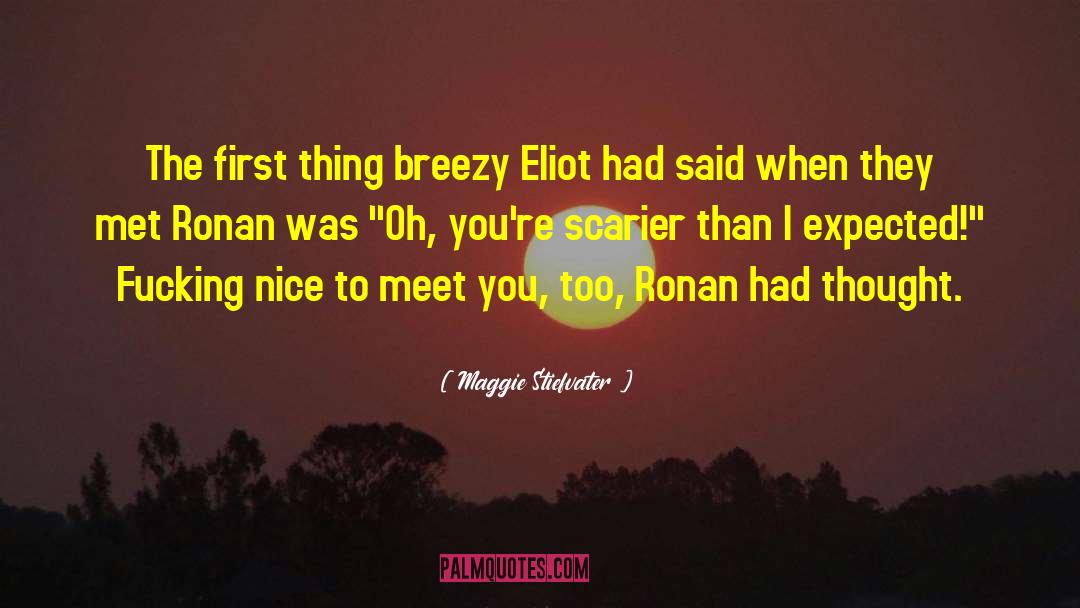 Nice To Meet You quotes by Maggie Stiefvater