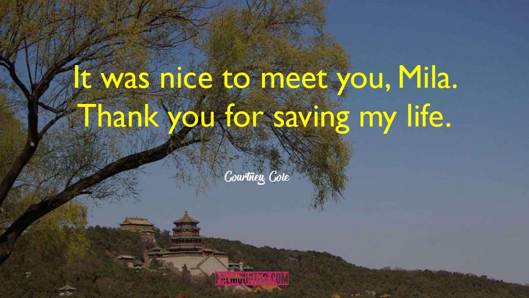 Nice To Meet You quotes by Courtney Cole