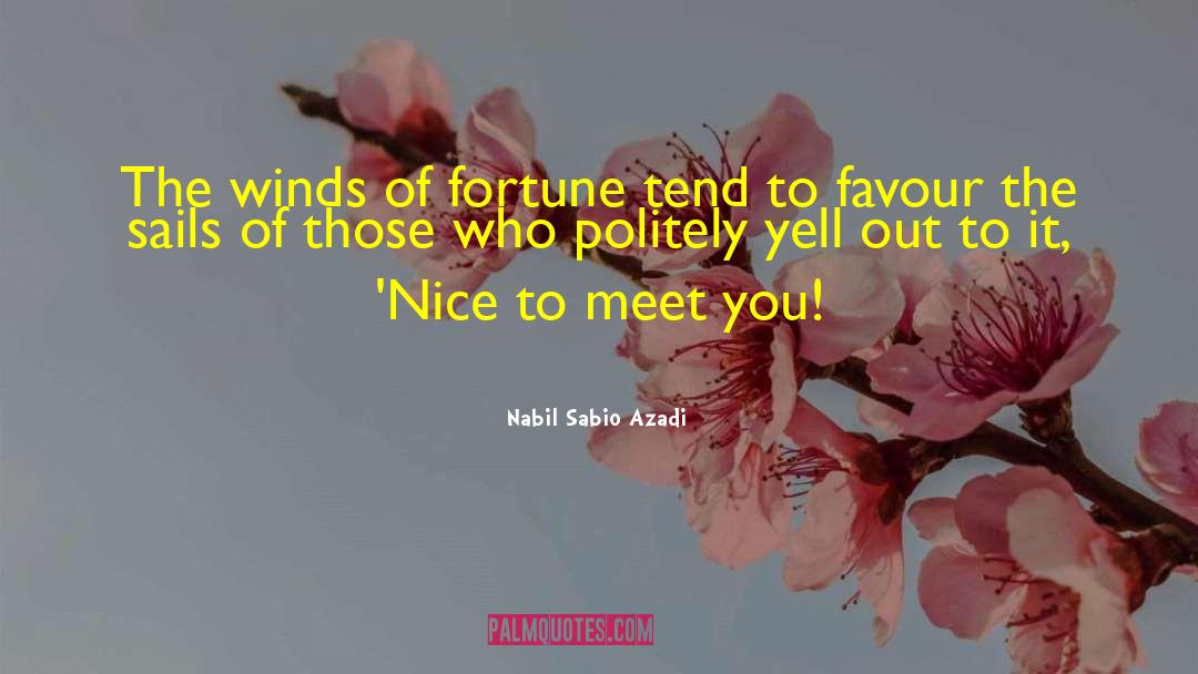 Nice To Meet You quotes by Nabil Sabio Azadi