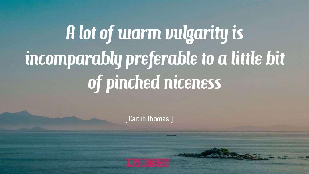 Niceness quotes by Caitlin Thomas