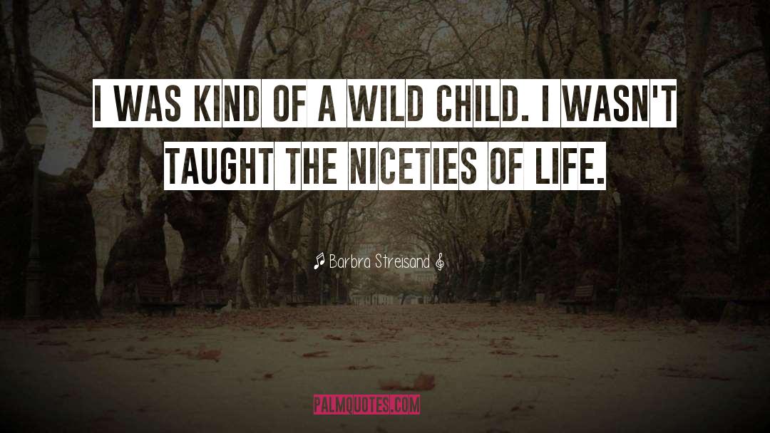 Niceties quotes by Barbra Streisand
