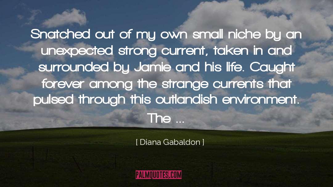 Niche quotes by Diana Gabaldon