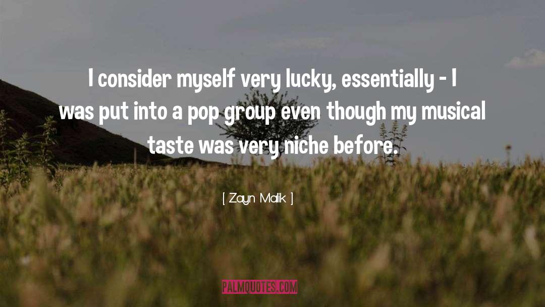 Niche quotes by Zayn Malik