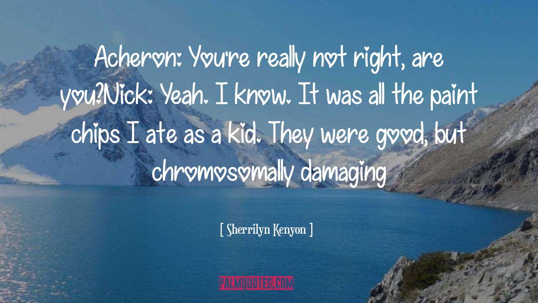 Nick Abbot quotes by Sherrilyn Kenyon