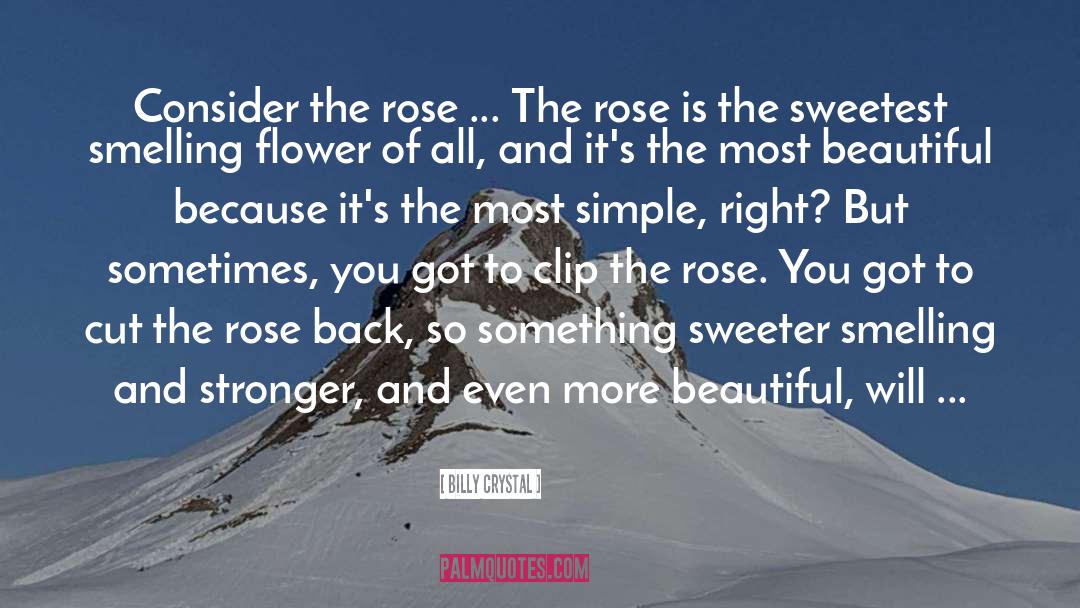Niebiosa Rose quotes by Billy Crystal