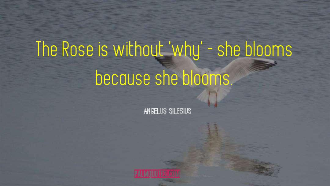 Niebiosa Rose quotes by Angelus Silesius