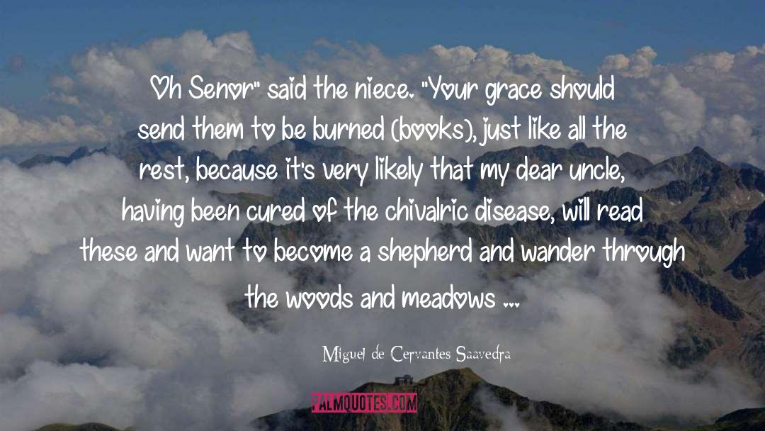 Niece quotes by Miguel De Cervantes Saavedra