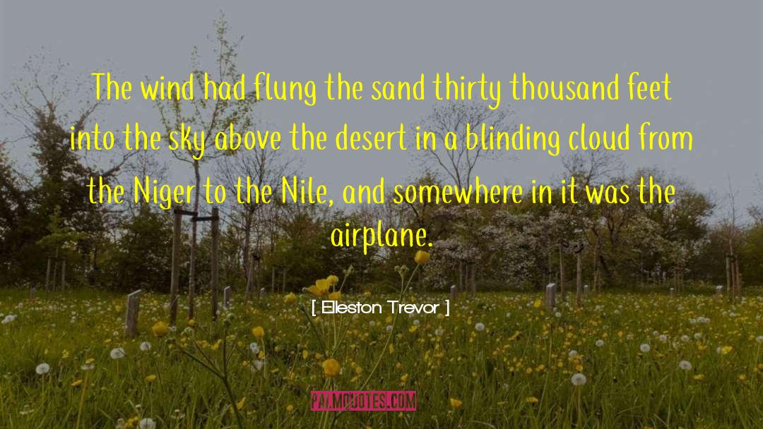 Niger quotes by Elleston Trevor