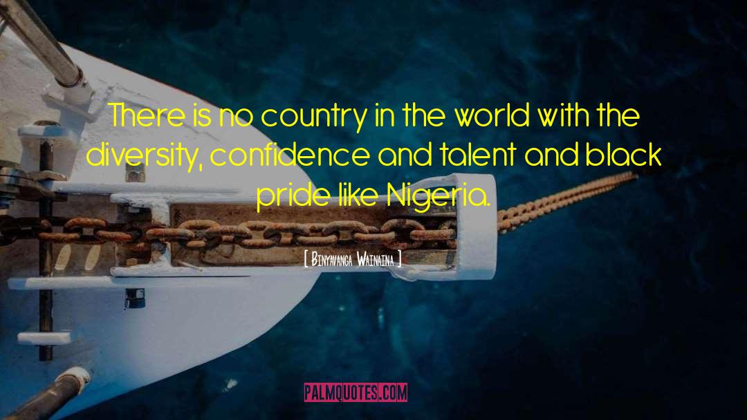 Nigeria Independence quotes by Binyavanga Wainaina