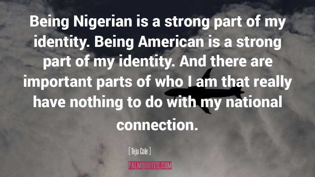 Nigerian quotes by Teju Cole