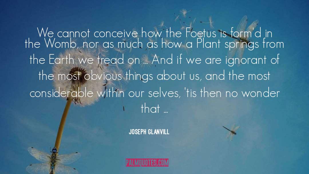 Nigerians In The Us quotes by Joseph Glanvill