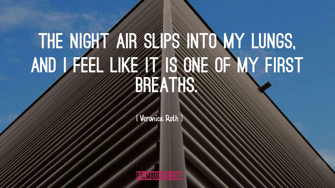 Night Air quotes by Veronica Roth