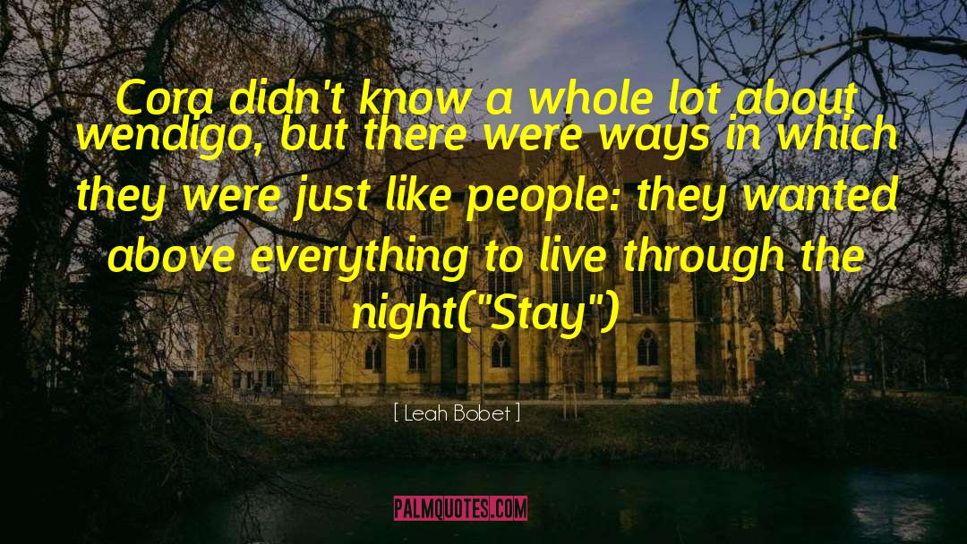 Night Audio Programming quotes by Leah Bobet