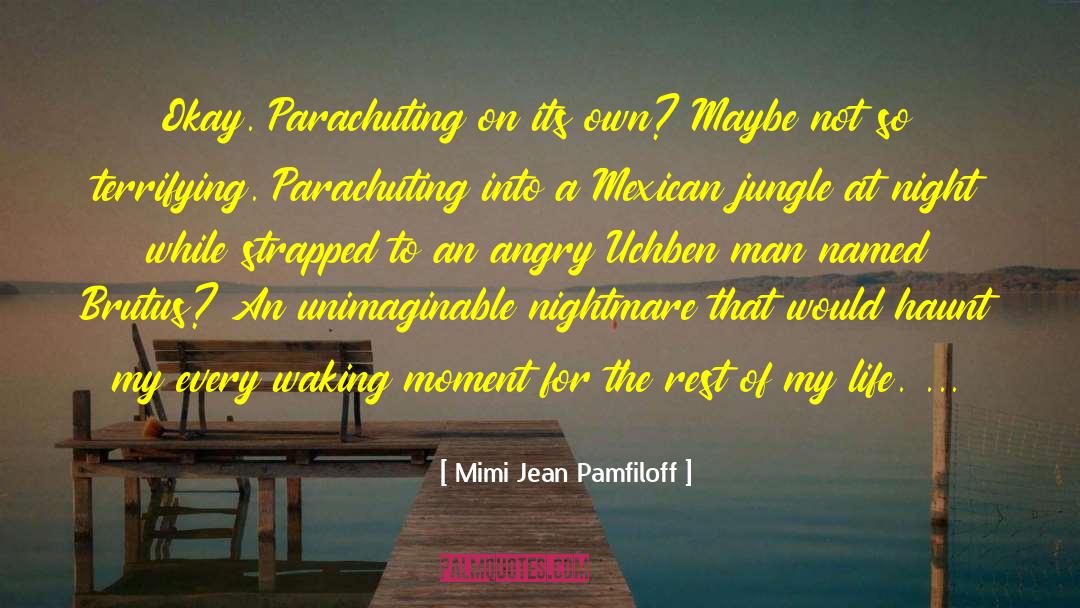 Night Flight quotes by Mimi Jean Pamfiloff