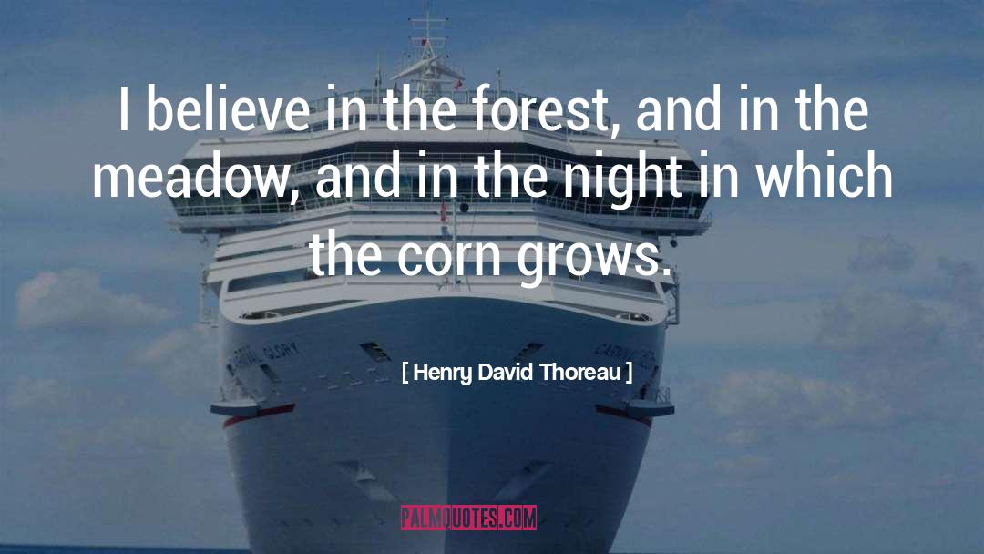 Night In quotes by Henry David Thoreau