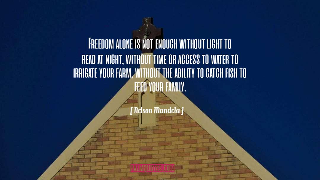 Night Light quotes by Nelson Mandela