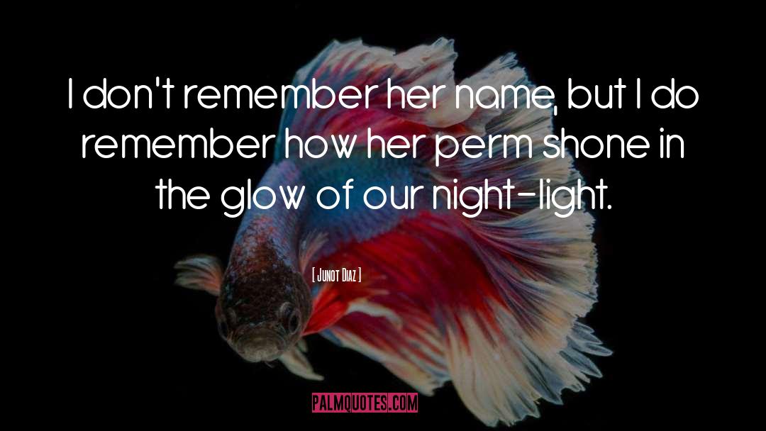 Night Light quotes by Junot Diaz