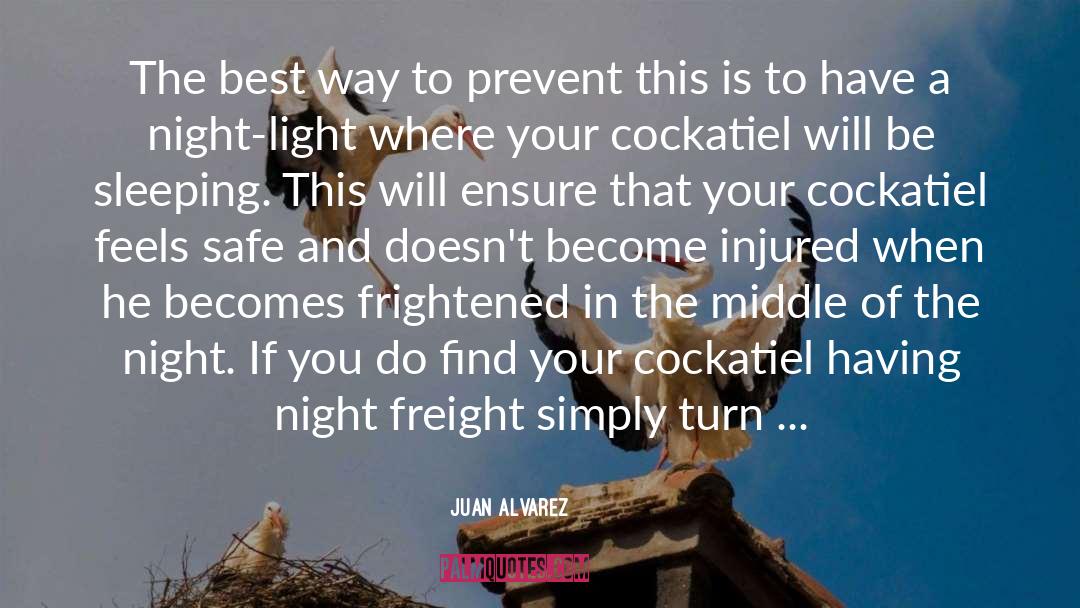 Night Light quotes by Juan Alvarez