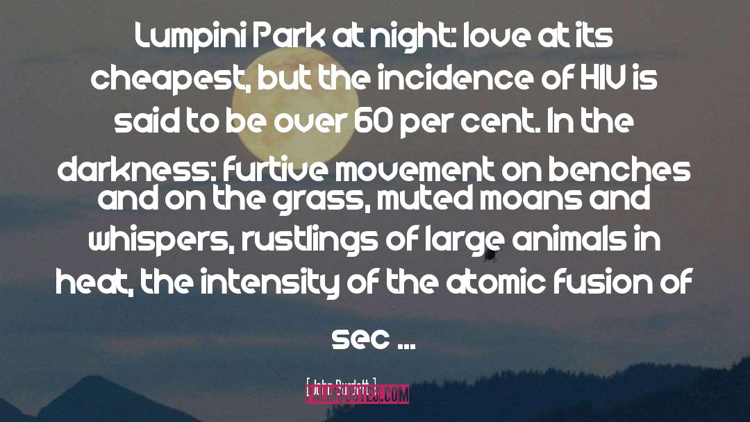 Night Love quotes by John Burdett