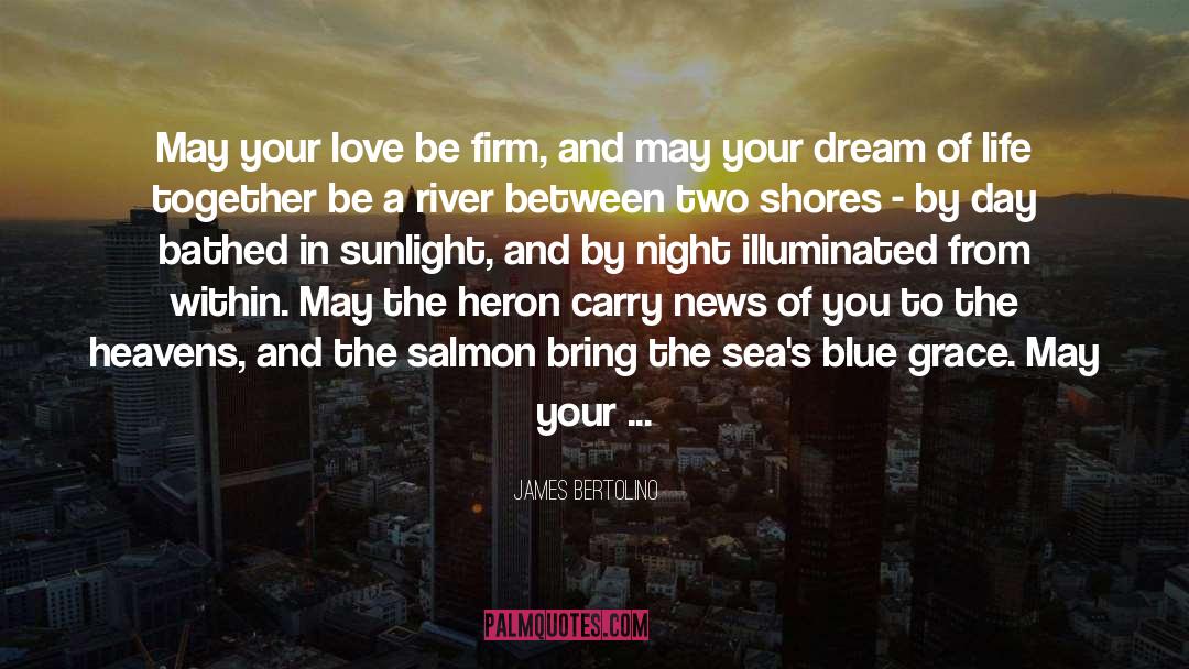 Night Love quotes by James Bertolino