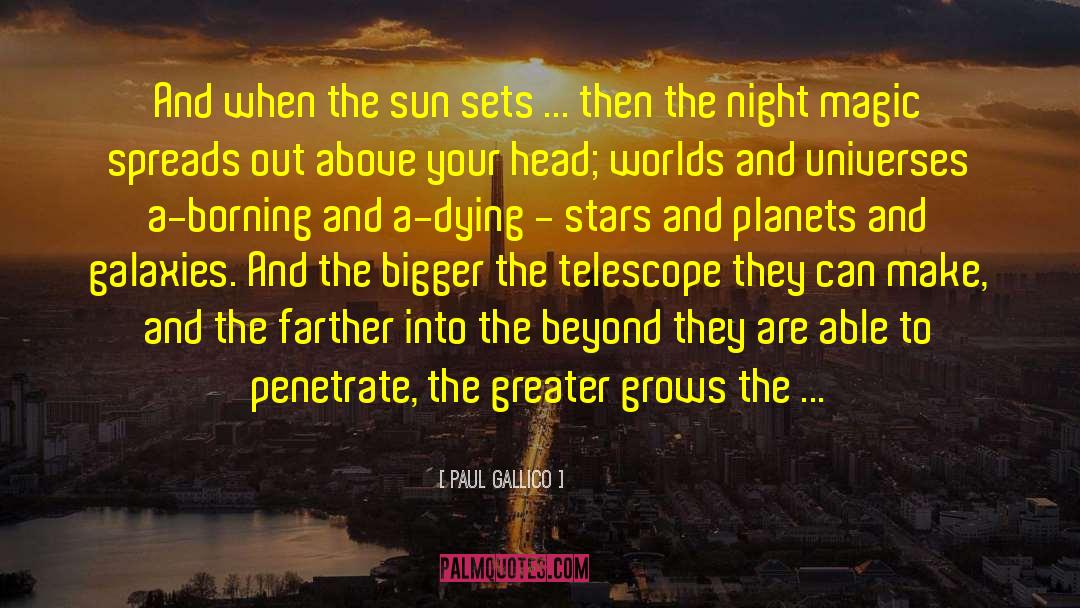 Night Magic quotes by Paul Gallico