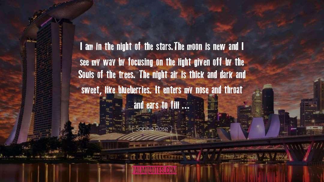 Night Of The Stars quotes by Sophia Rose