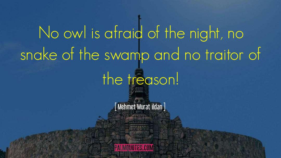 Night Owl Cameras quotes by Mehmet Murat Ildan