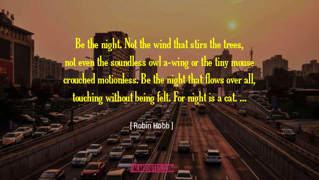 Night Owl Cameras quotes by Robin Hobb