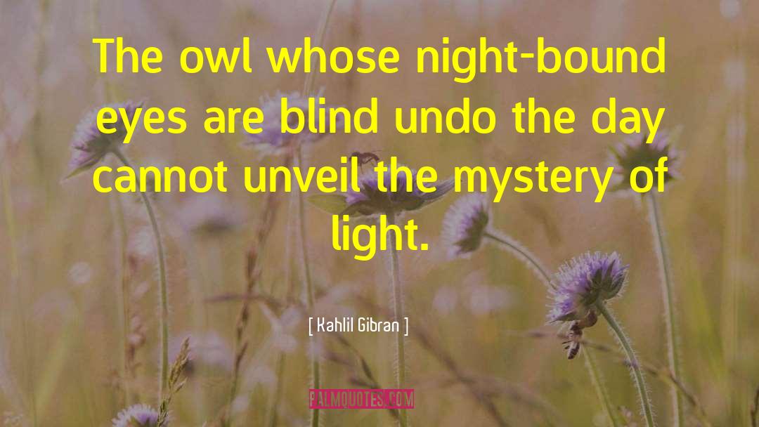 Night Owl Cameras quotes by Kahlil Gibran
