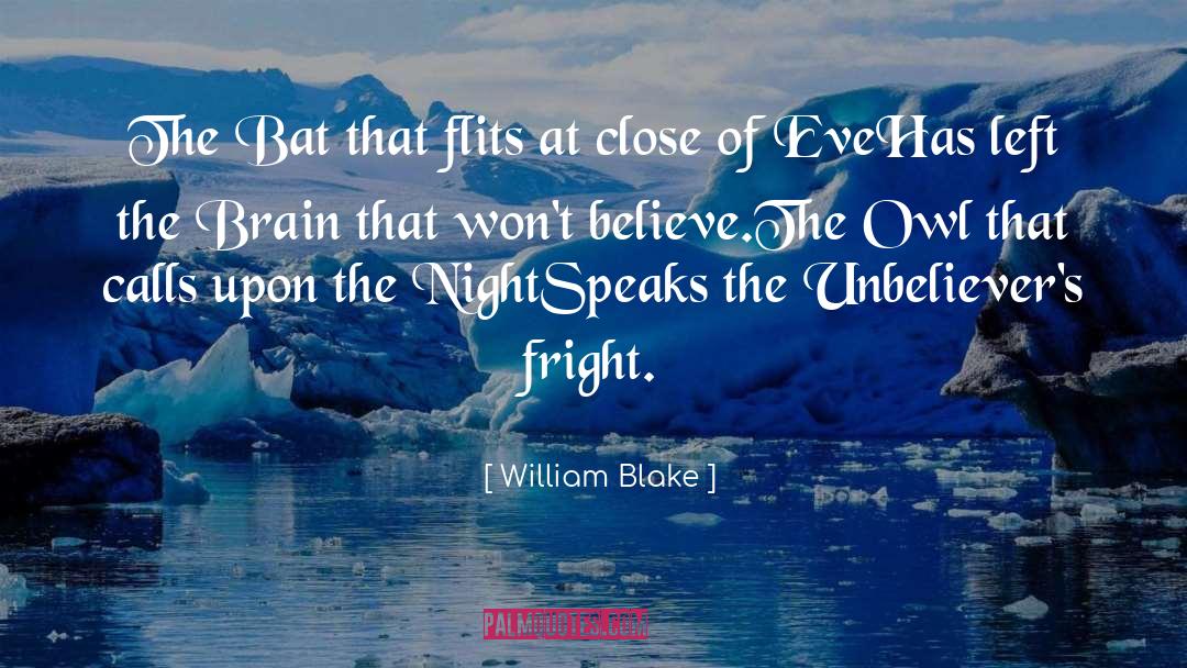 Night Owl Cameras quotes by William Blake