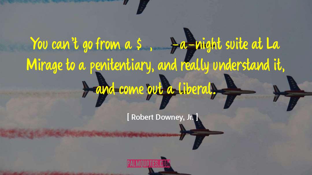 Night Owl quotes by Robert Downey, Jr.