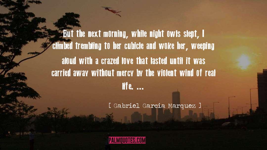 Night Owls quotes by Gabriel Garcia Marquez