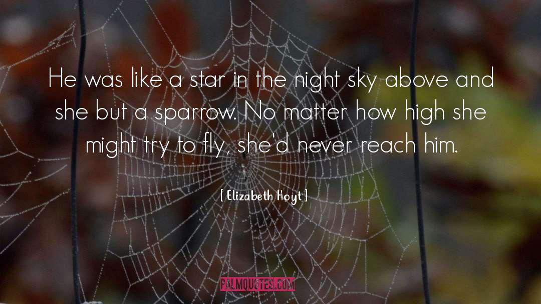 Night Sky quotes by Elizabeth Hoyt