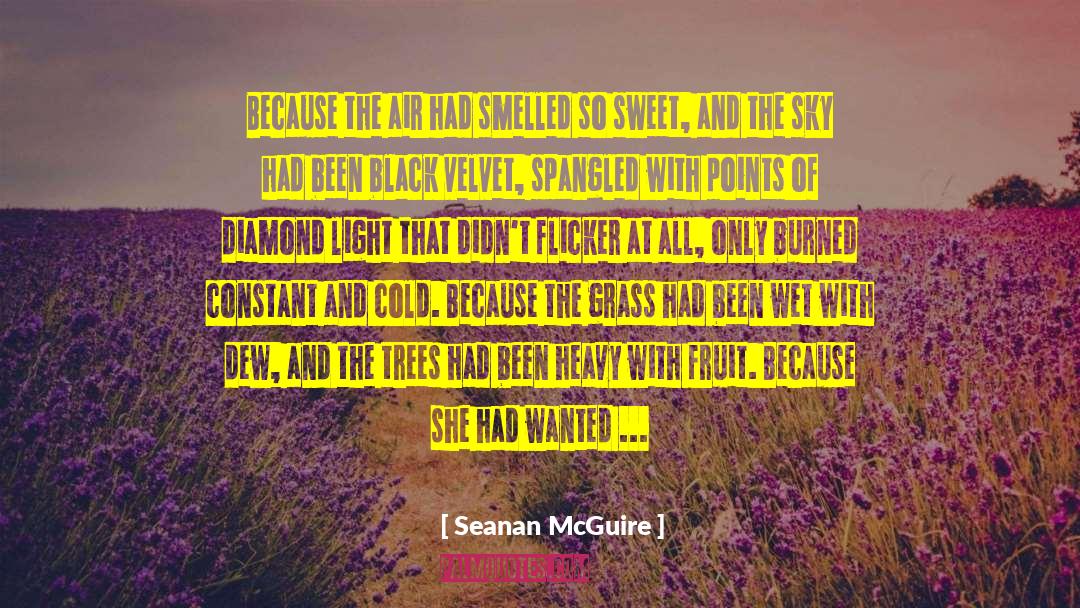 Night Sky With Exit Wounds quotes by Seanan McGuire