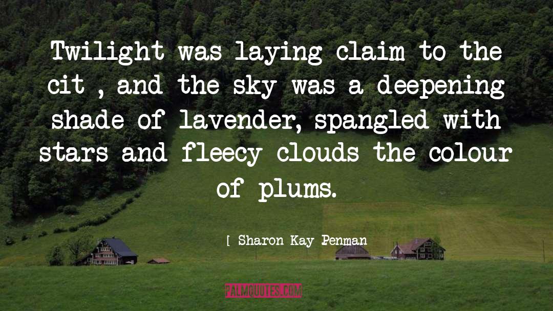 Night Sky With Exit Wounds quotes by Sharon Kay Penman