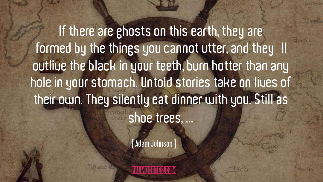 Night Vale quotes by Adam Johnson