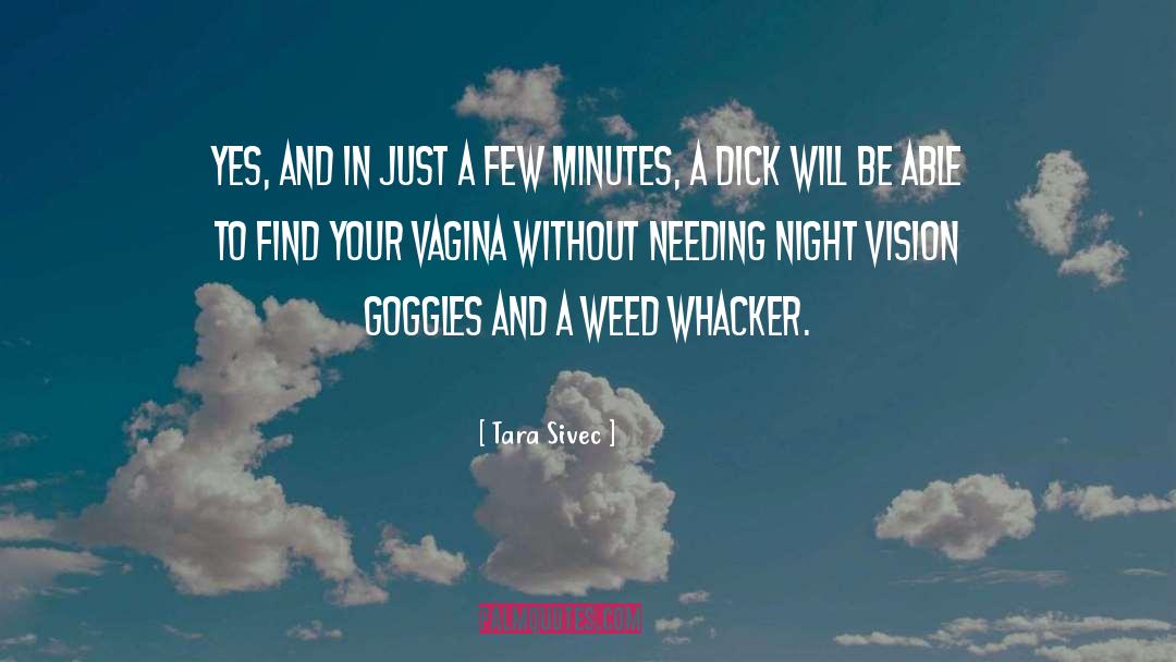 Night Vision Goggles quotes by Tara Sivec