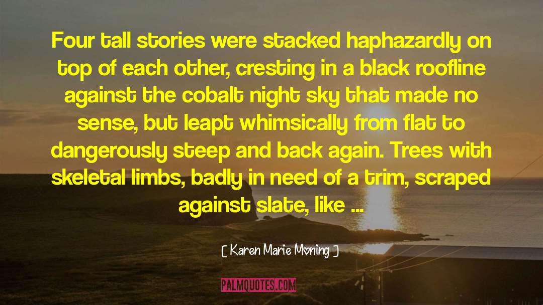 Night Watch quotes by Karen Marie Moning
