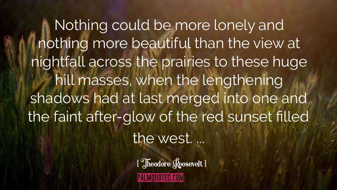 Nightfall quotes by Theodore Roosevelt