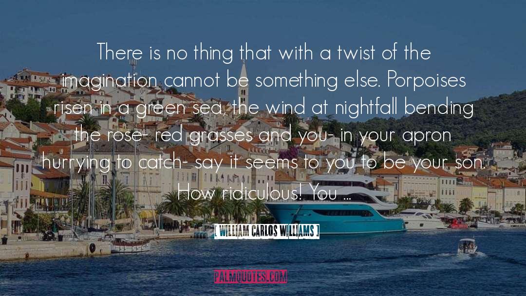 Nightfall quotes by William Carlos Williams