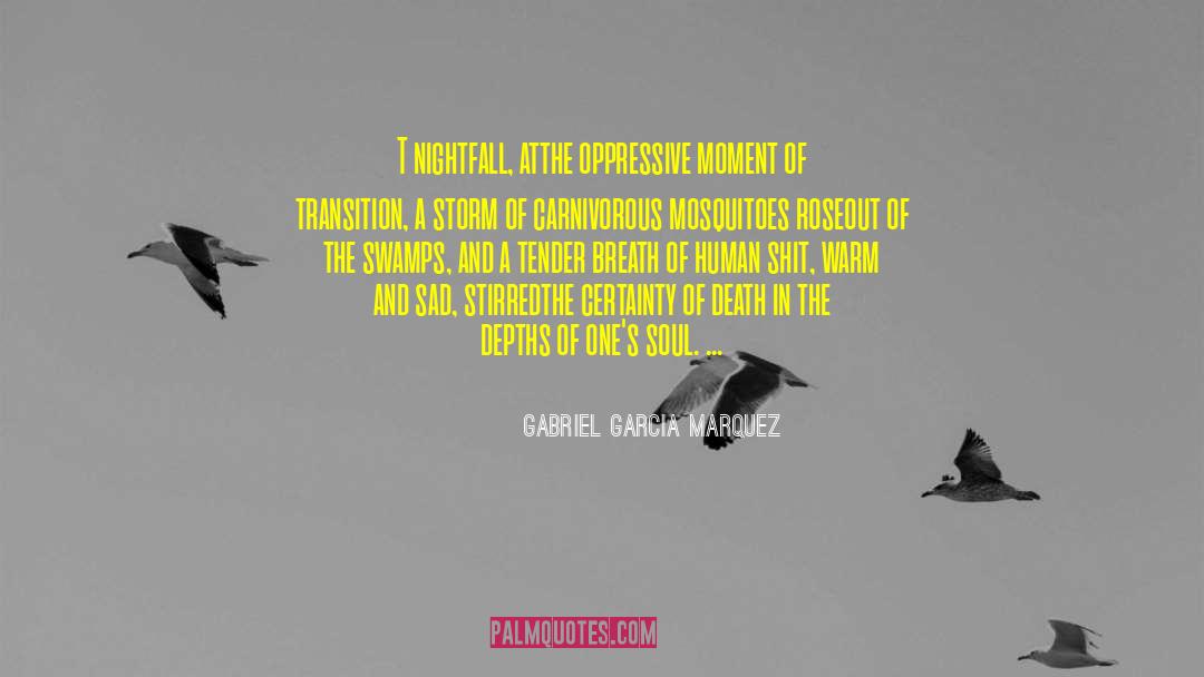 Nightfall quotes by Gabriel Garcia Marquez